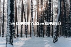 ae软件版本大全(ae软件最新) | ae插件合集
