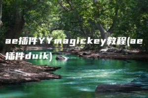 ae插件YYmagickey教程(ae插件duik) | ae插件合集