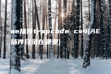 ae插件trapcode cs4(AE插件目录在哪里) | ae插件合集