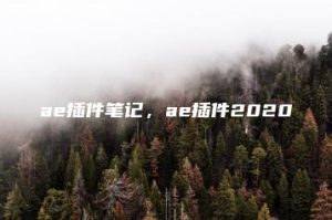 ae插件笔记，ae插件2020 | ae插件合集