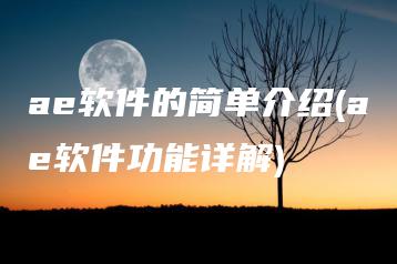 ae软件的简单介绍(ae软件功能详解) | ae插件合集