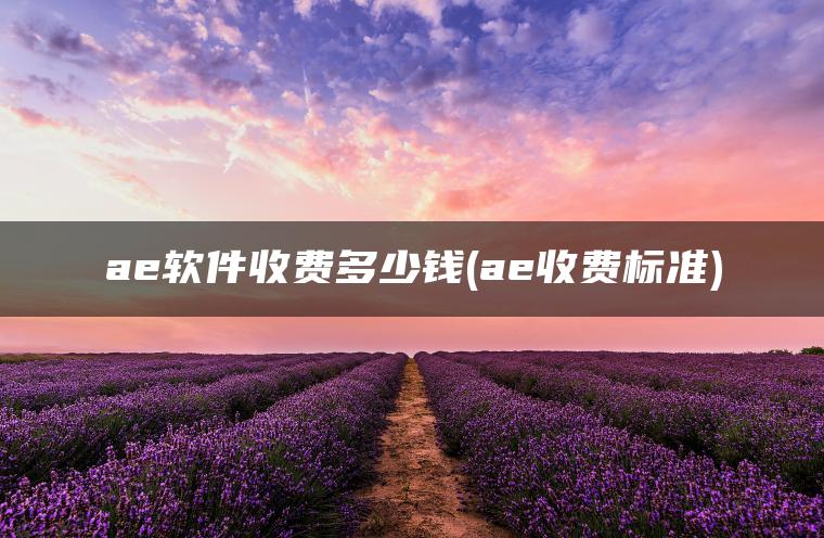 ae软件收费多少钱(ae收费标准)