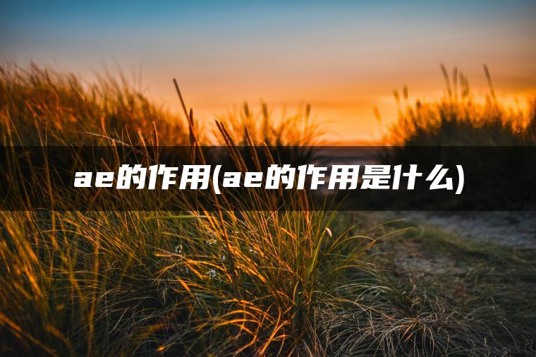 ae的作用(ae的作用是什么)