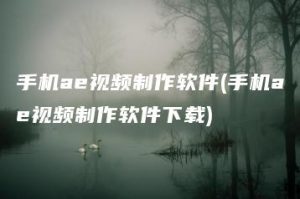 手机ae视频制作软件(手机ae视频制作软件下载) | ae插件合集