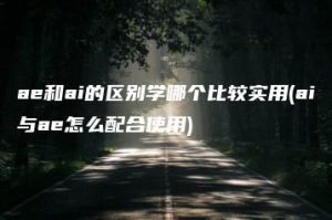 ae和ai的区别学哪个比较实用(ai与ae怎么配合使用) | ae插件合集
