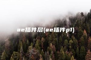 ae插件层(ae插件p1) | ae插件合集