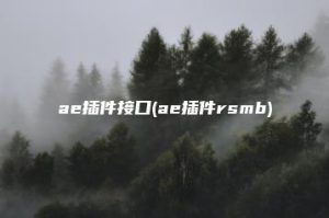 ae插件接口(ae插件rsmb) | ae插件合集