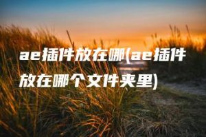 ae插件放在哪(ae插件放在哪个文件夹里) | ae插件合集