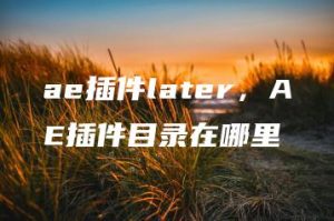 ae插件later，AE插件目录在哪里 | ae插件合集