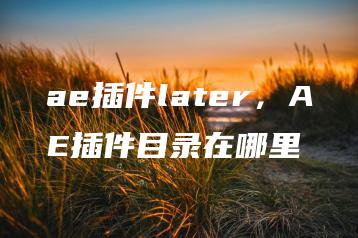 ae插件later，AE插件目录在哪里 | ae插件合集
