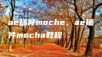 ae插件moche，ae插件mocha教程 | ae插件合集