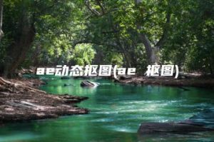 ae动态抠图(ae 抠图) | ae插件合集