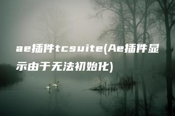 ae插件tcsuite(Ae插件显示由于无法初始化) | ae插件合集
