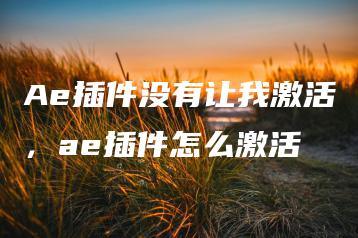Ae插件没有让我激活，ae插件怎么激活 | ae插件合集