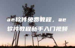 ae软件免费教程，ae软件教程新手入门视频 | ae插件合集