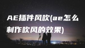 AE插件风吹(ae怎么制作吹风的效果) | ae插件合集