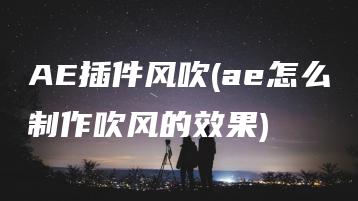 AE插件风吹(ae怎么制作吹风的效果) | ae插件合集
