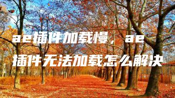 ae插件加载慢，ae插件无法加载怎么解决 | ae插件合集