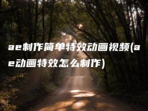 ae制作简单特效动画视频(ae动画特效怎么制作) | ae插件合集