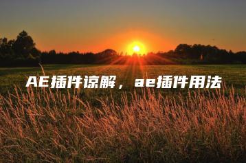 AE插件谅解，ae插件用法 | ae插件合集