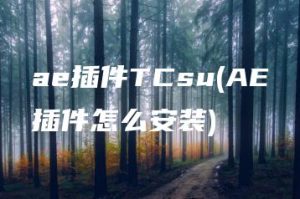 ae插件TCsu(AE插件怎么安装) | ae插件合集