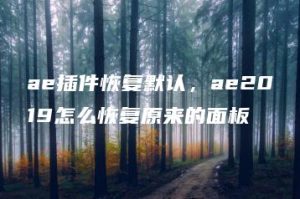 ae插件恢复默认，ae2019怎么恢复原来的面板 | ae插件合集