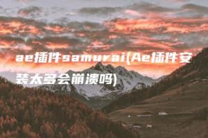 ae插件samurai(Ae插件安装太多会崩溃吗) | ae插件合集