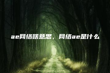 ae网络啥意思，网络ae是什么 | ae插件合集