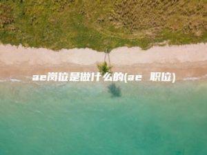 ae岗位是做什么的(ae 职位) | ae插件合集