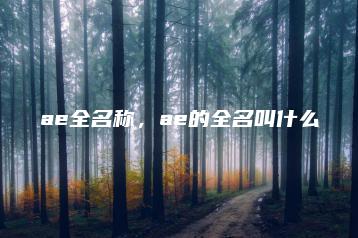 ae全名称，ae的全名叫什么 | ae插件合集
