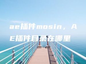 ae插件mosin，AE插件目录在哪里 | ae插件合集