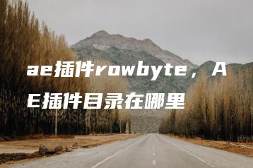 ae插件rowbyte，AE插件目录在哪里 | ae插件合集