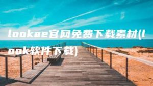 lookae官网免费下载素材(look软件下载) | ae插件合集