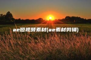 ae短视频素材(ae素材剪辑) | ae插件合集
