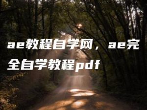 ae教程自学网，ae完全自学教程pdf | ae插件合集