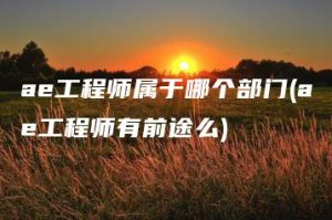 ae工程师属于哪个部门(ae工程师有前途么) | ae插件合集