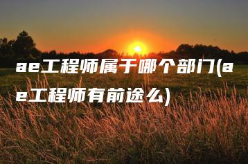 ae工程师属于哪个部门(ae工程师有前途么) | ae插件合集