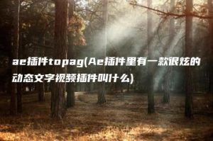ae插件topag(Ae插件里有一款很炫的动态文字视频插件叫什么) | ae插件合集