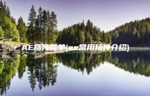 AE插件简单(ae常用插件介绍) | ae插件合集