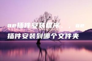 ae插件安装程序、，ae插件安装到哪个文件夹 | ae插件合集