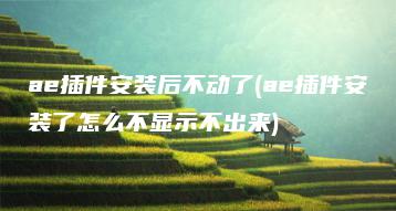 ae插件安装后不动了(ae插件安装了怎么不显示不出来) | ae插件合集