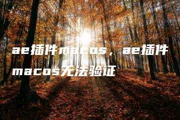ae插件macos，ae插件macos无法验证 | ae插件合集
