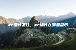 ae插件备注，ae插件在哪里显示 | ae插件合集