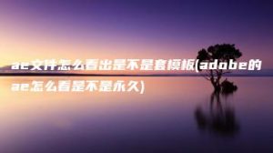 ae文件怎么看出是不是套模板(adobe的ae怎么看是不是永久) | ae插件合集