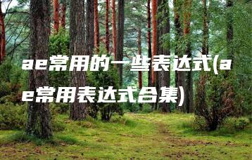 ae常用的一些表达式(ae常用表达式合集) | ae插件合集