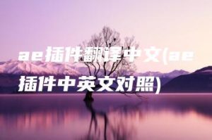 ae插件翻译中文(ae插件中英文对照) | ae插件合集