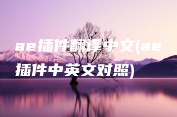 ae插件翻译中文(ae插件中英文对照) | ae插件合集