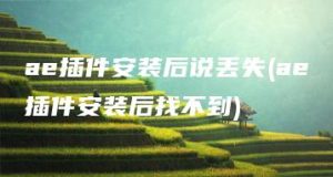 ae插件安装后说丢失(ae插件安装后找不到) | ae插件合集