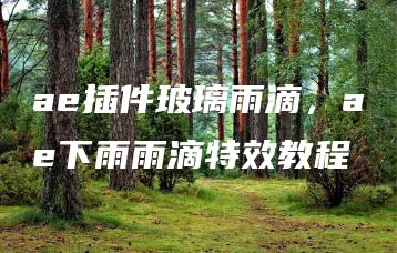 ae插件玻璃雨滴，ae下雨雨滴特效教程 | ae插件合集