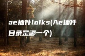 ae插件loiks(Ae插件目录是哪一个) | ae插件合集